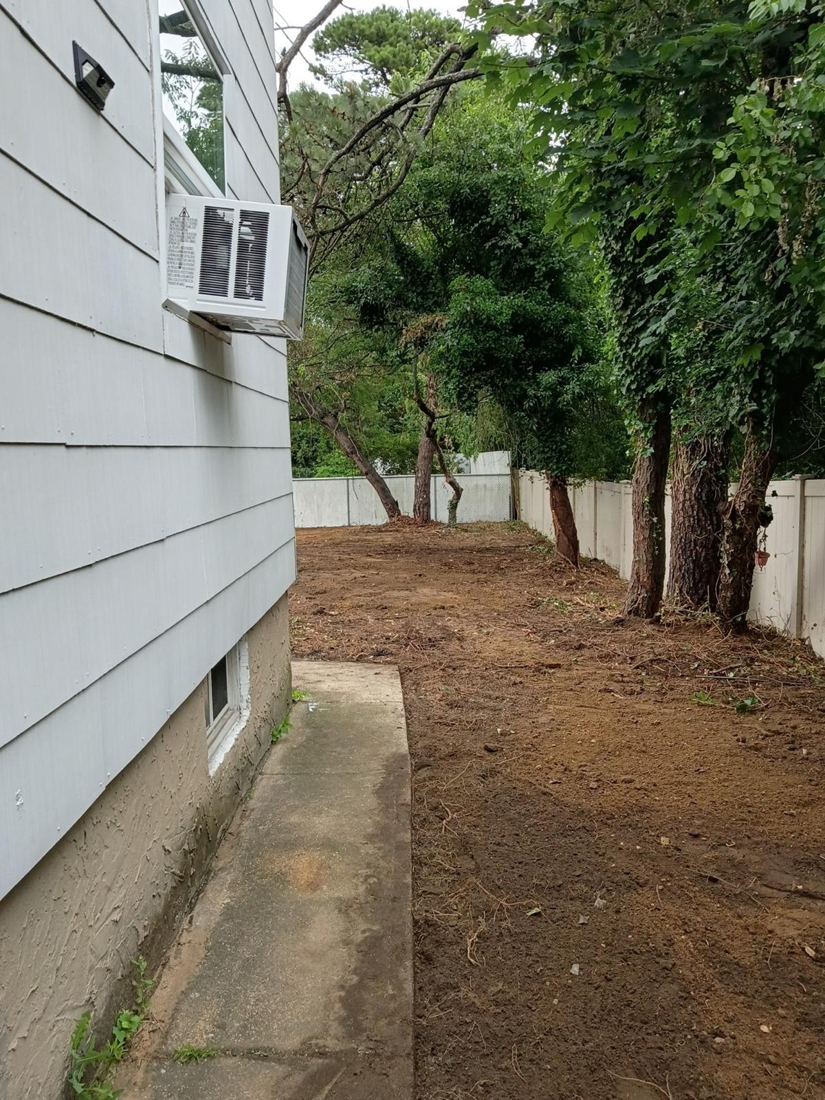 Property Clean Up
